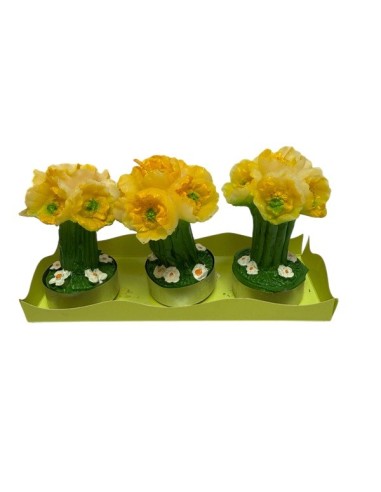 Candele tea light con fiori di narciso - Set da 3 pezzi